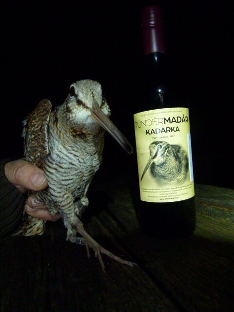 tundermadar-borokafarm